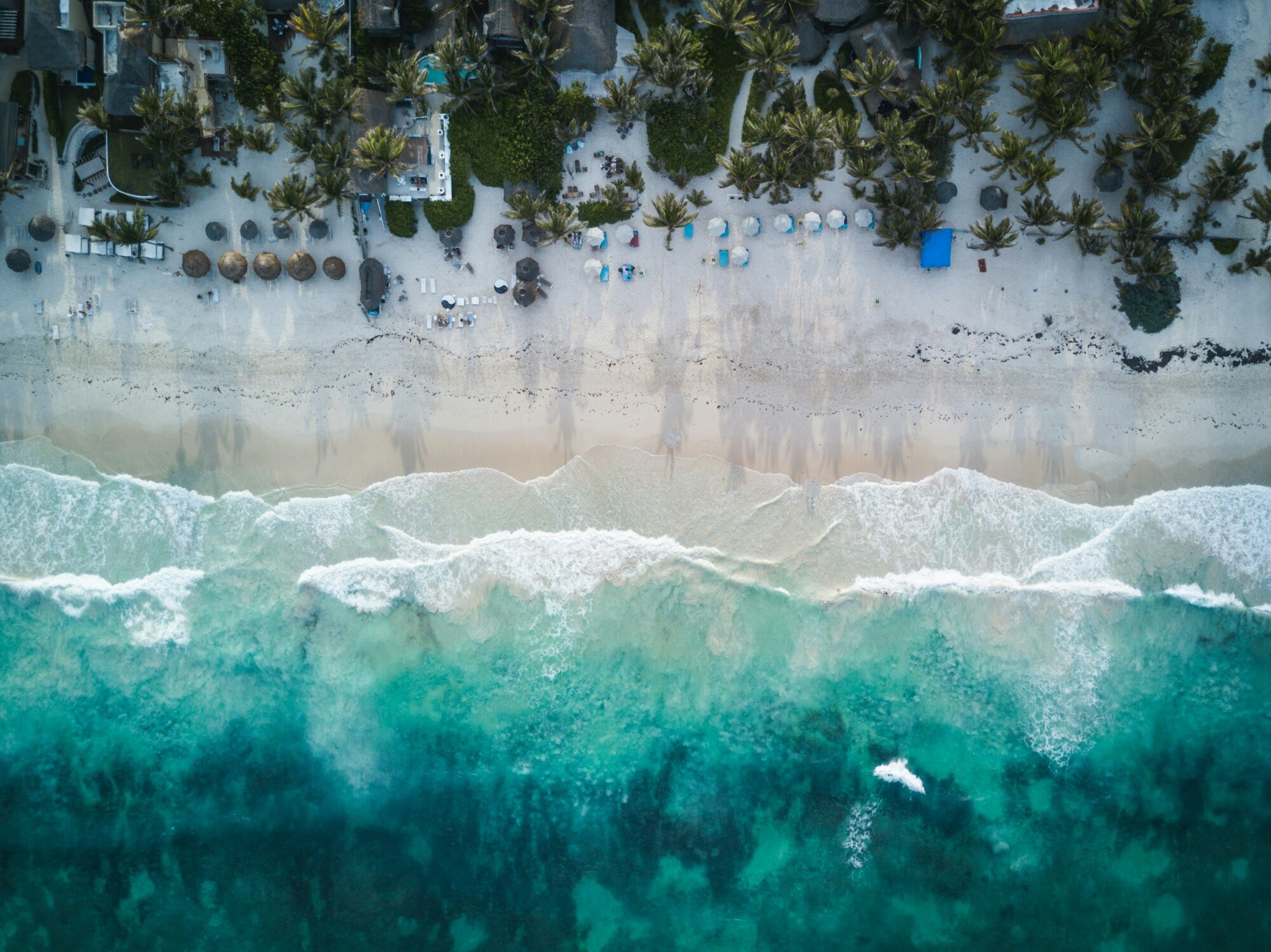 spencer-watson-ioy3bN5Irew-unsplash spencer-watson-ioy3bN5Irew-unsplash